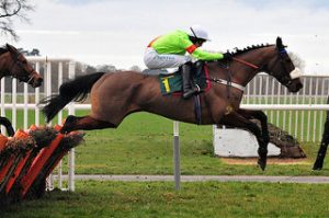 Jumping Race Horse