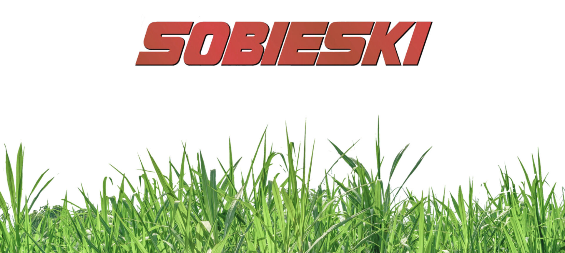 Sobieski logo